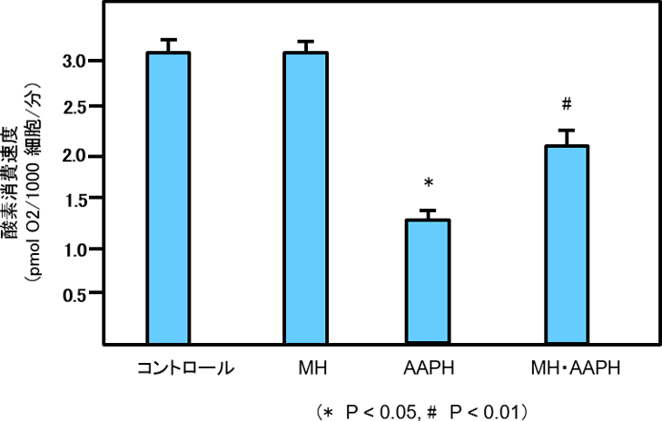 図4. マヌカハニーによるミトコンドリア機能の保護作用