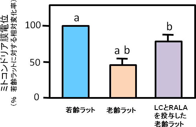 図1. LCとRALAの併用投与によるミトコンドリア膜電位の変化