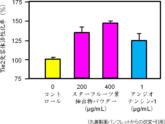 図5. フィトケミカルによるTie2（タイツー）受容体活性化作用