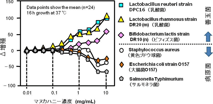 図1. 腸内の善玉菌と病原菌のマヌカハニーによる増減