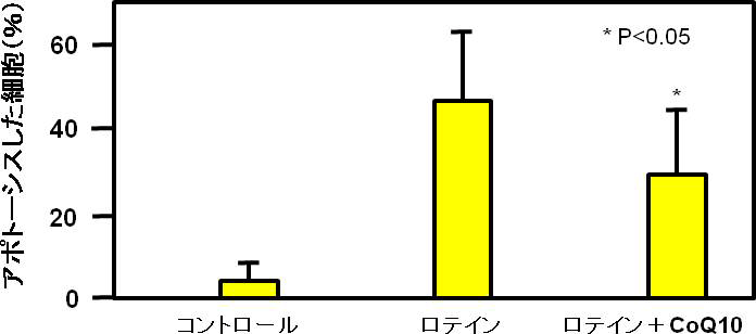 図1. ロテインで誘発されたアポトーシス（細胞死）のCoQ10による抑制