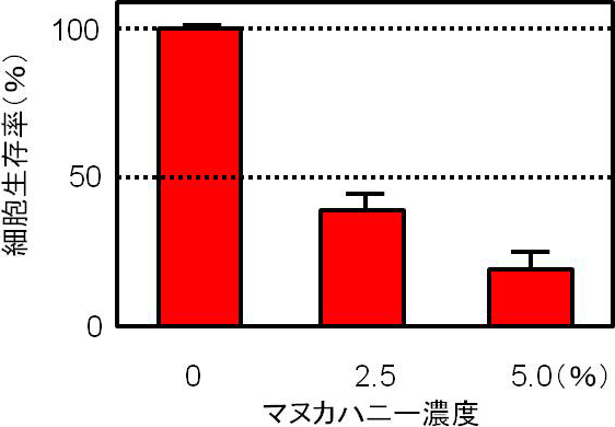 図2. 大腸腺がん細胞株の細胞生存率評価