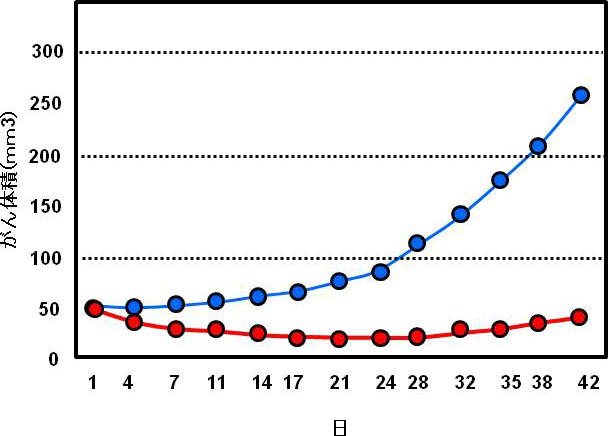 図4. マウスを用いたマヌカハニー摂取による乳がん細胞の増殖抑制効果