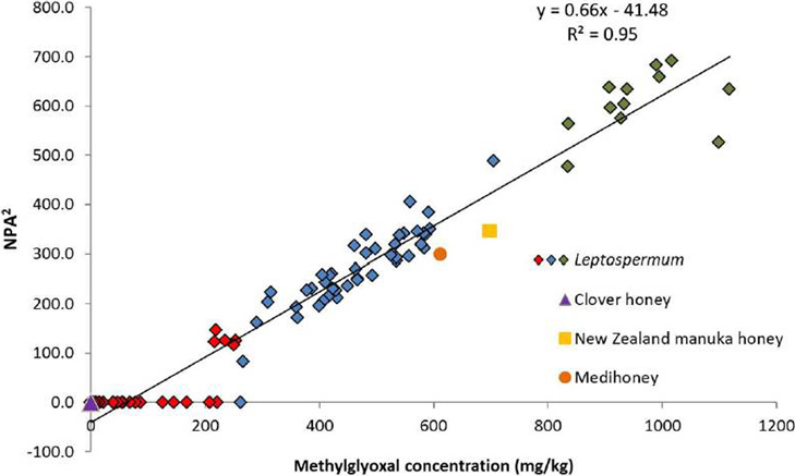 図2. オーストラリアン（Leptospermum）ハニーのMGOとNPAの相関