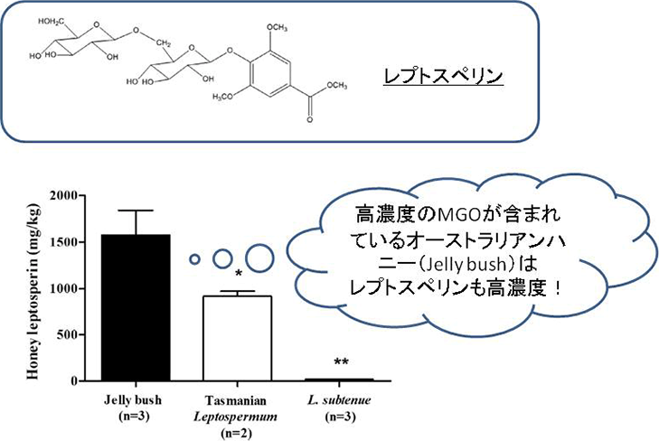 図4. オーストラリアンハニー中に含まれるレプトスペリン量