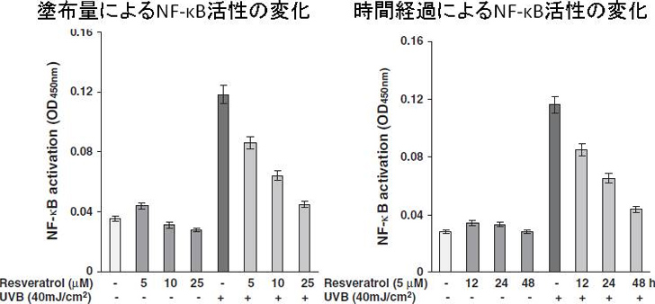 図1. レスベラトロールの紫外線照射下における肌荒れ防止効果