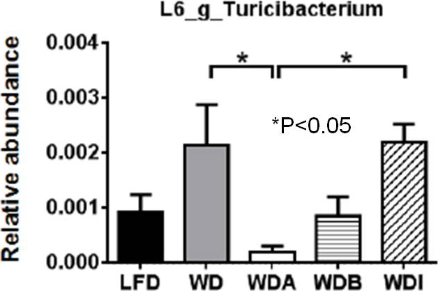 図5. 各成分摂取による腸内細菌中のTuricibacterium属の増減