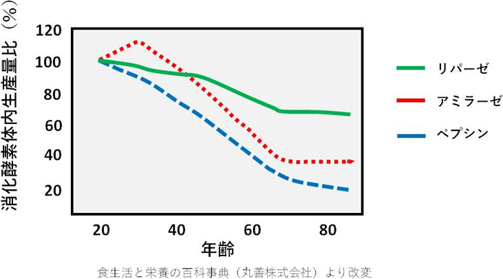 図2. 年齢による消化酵素体内生産量の減少