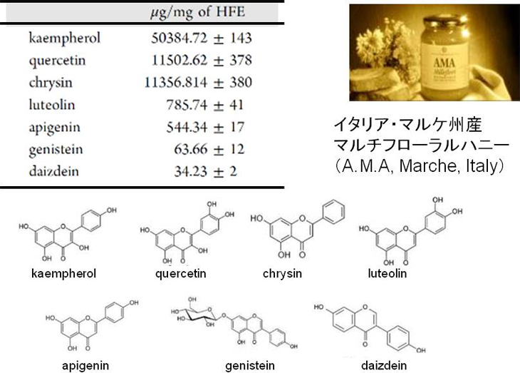 表2. 蜂蜜フラボノイド抽出物（HFE）