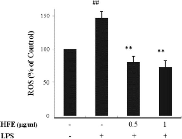 図3. LPSによる活性酸素（ROS）産生をHFEが抑制