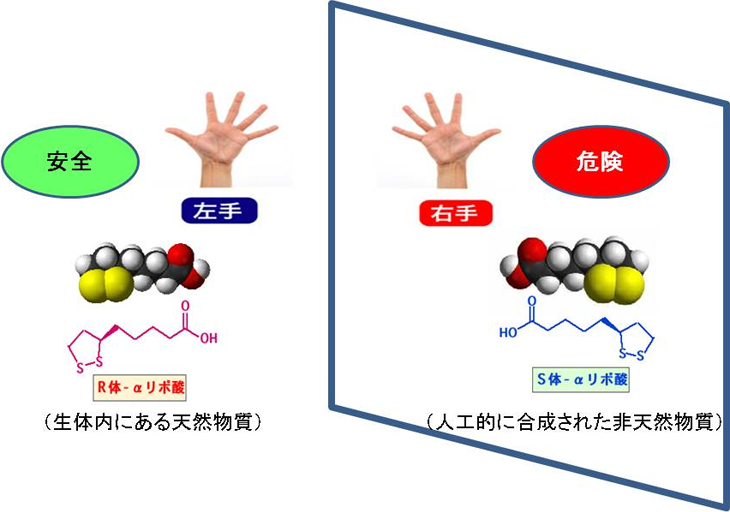 図5. αリポ酸の鏡像異性体（鏡の中の像、虚像、非天然体）