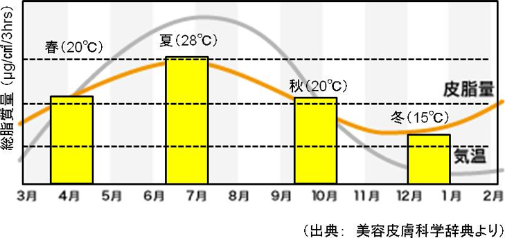 図7. 気温と皮脂分泌量の変化