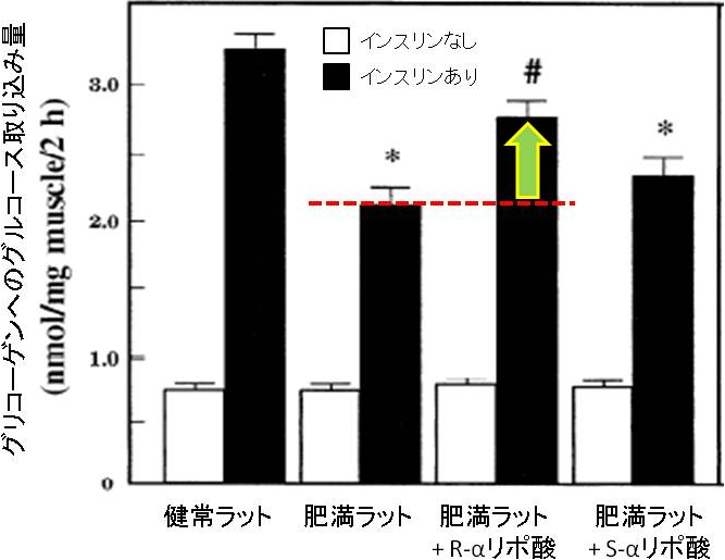 図3. R-αリポ酸とS-αリポ酸投与によるグリコーゲンへのグルコース取り込み量の変化