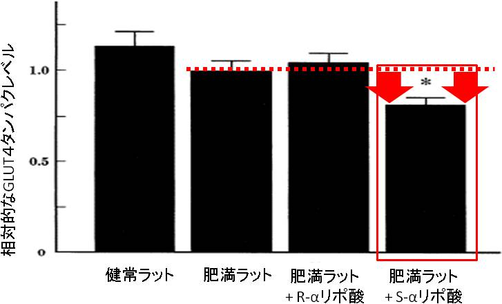 図5. R-αリポ酸とS-αリポ酸投与によるGLUT4タンパクレベルの変化