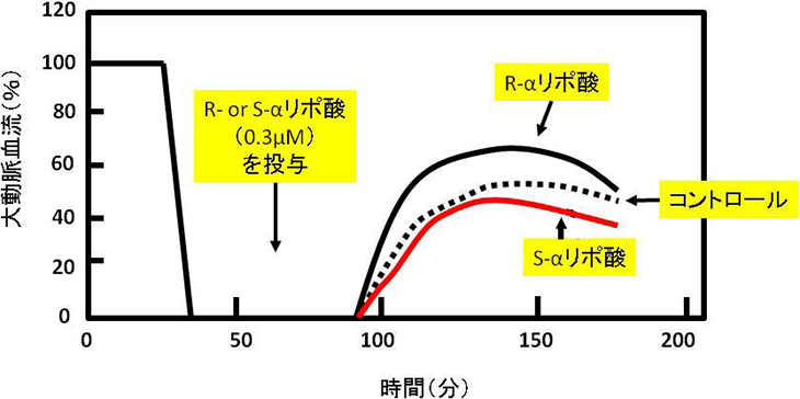 図3. 再酸素化時の大動脈血流に対するαリポ酸の影響