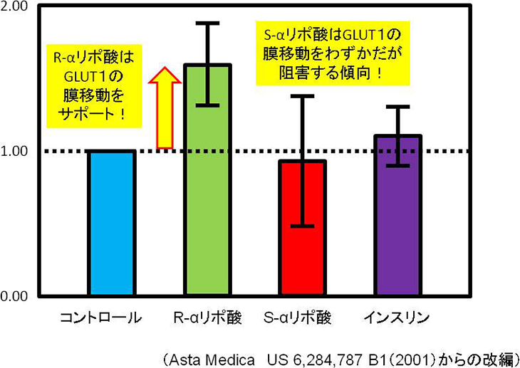 図1. L6筋管細胞内のGLUT1の細胞膜への移動におけるαリポ酸(2.5mM)の効果