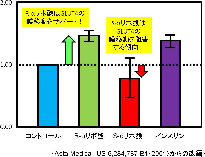 図2. L6筋管細胞内のGLUT4の細胞膜への移動におけるαリポ酸（2.5mM）の効果