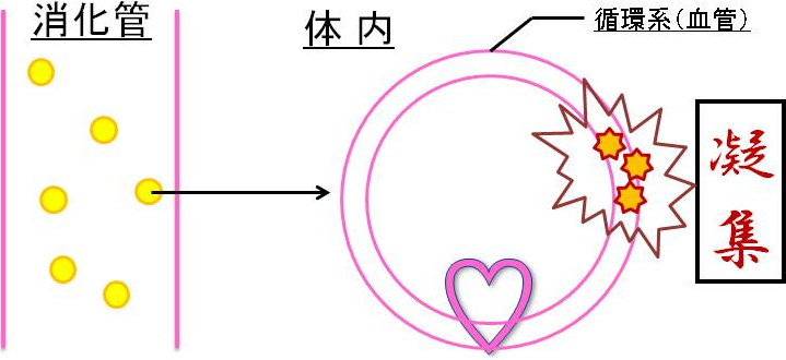 図7. 循環器系におけるS-αリポ酸とアルブミンとの反応による凝集物の形成