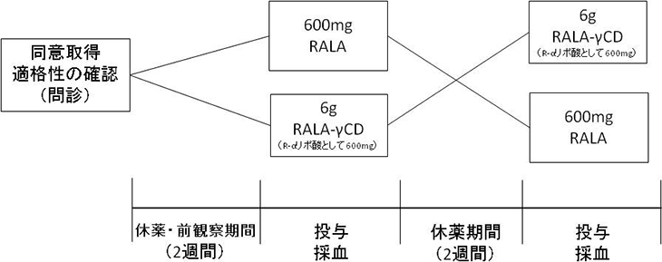 図3. RALA-γ-CDのヒト吸収性試験のフローチャート（試験全期間：30日）