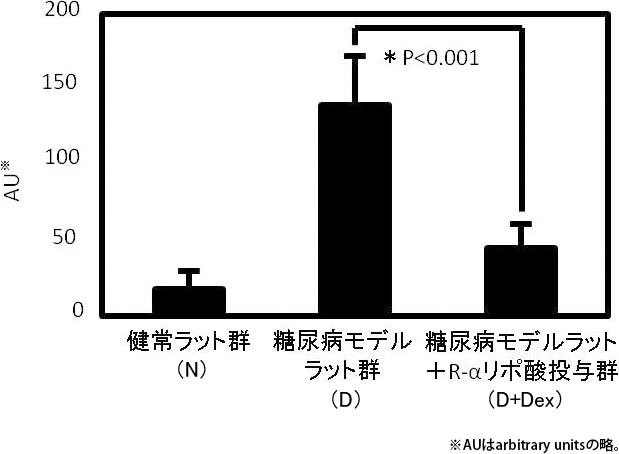 図3. 糖化タンパク(CML)の発現量の変化
