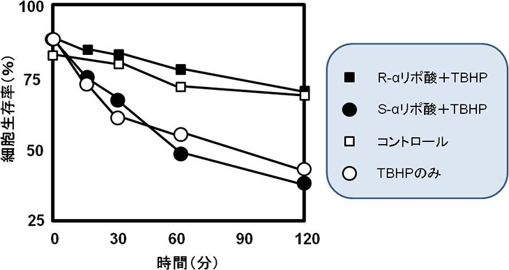 図1. R-αリポ酸による肝細胞生存率の向上