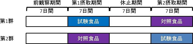 図1. クロスオーバー試験