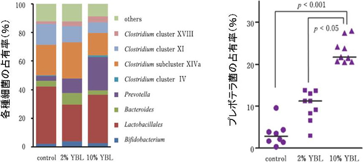図3. 腸内細菌叢におけるプレボテラ菌の占有率