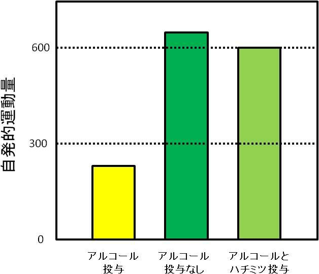 図3. 飲酒時のハチミツ摂取による自発的運動量の上昇