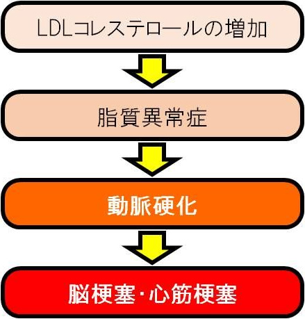 図1. 脳梗塞・心筋梗塞はLDLコレステロールの増加が原因