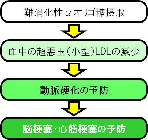 図3. 難消化性αオリゴ糖摂取による脳梗塞・心筋梗塞の予防