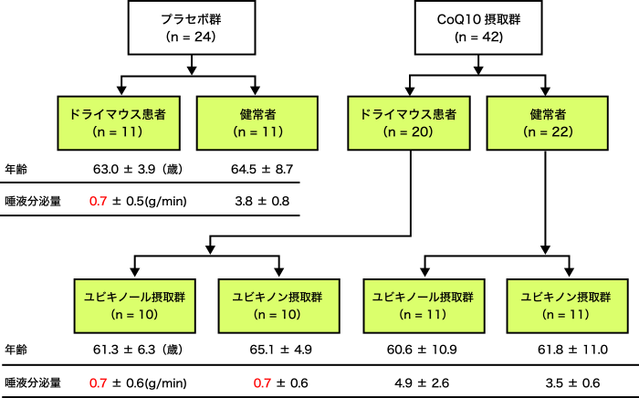 図2. グループ分けとそれぞれの平均年齢と唾液分泌量