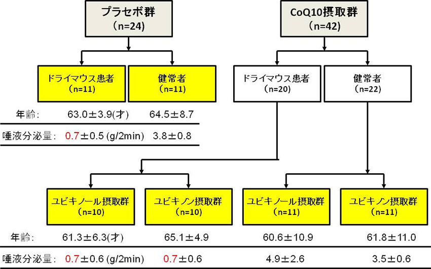 図1. グループ分けとそれぞれの平均年齢と唾液分泌量