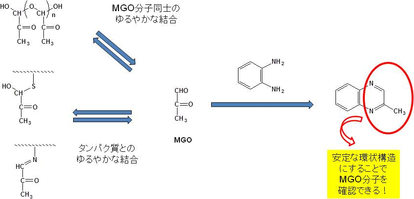15年以上もマヌカハニーの抗菌活性成分がMGOであることが分からなかった理由のヘンレ博士の分析方法