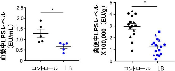 図3. バクテロイデス強制投与による血漿中および糞便中のLPSの減少