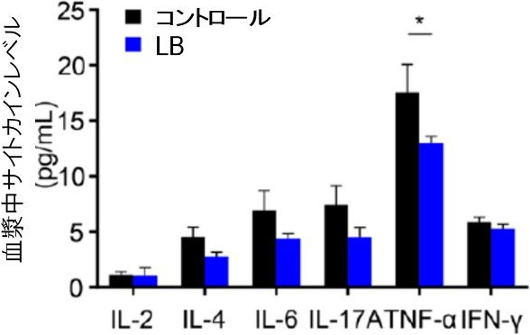 図4. バクテロイデス強制投与による炎症性サイトカインの減少