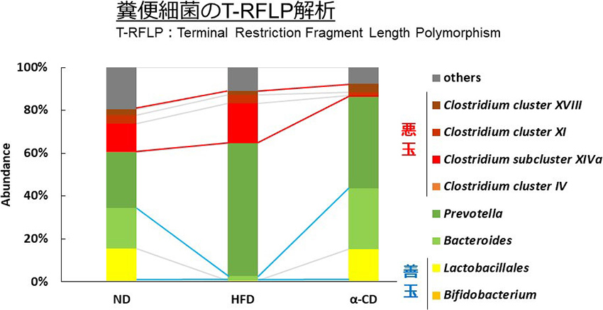 図6. 腸内細菌叢に対するαオリゴ糖摂取の影響