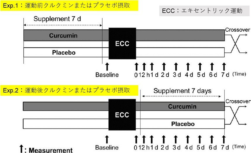 図1. 試験デザイン