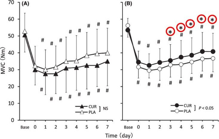 図2. 最大随時収縮（MVCトルク）に対するクルクミン摂取の効果