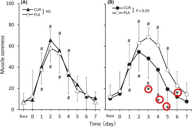 図4. 筋肉痛に対するクルクミン摂取の効果