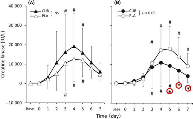 図5. クレアチンキナーゼ（CK）活性に対するクルクミン摂取の効果