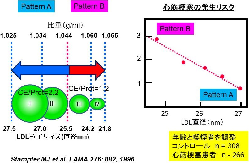 図4. 小型LDL比の高い人の心筋梗塞発症率は3倍