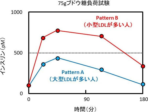 図4. 小型LDLの多い人はインスリン抵抗性大