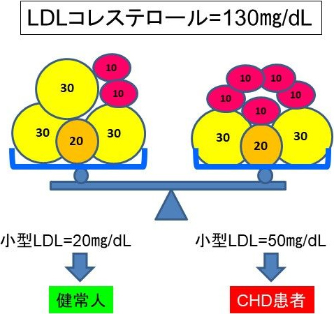 図2. 小型LDL測定によるCHDリスク評価