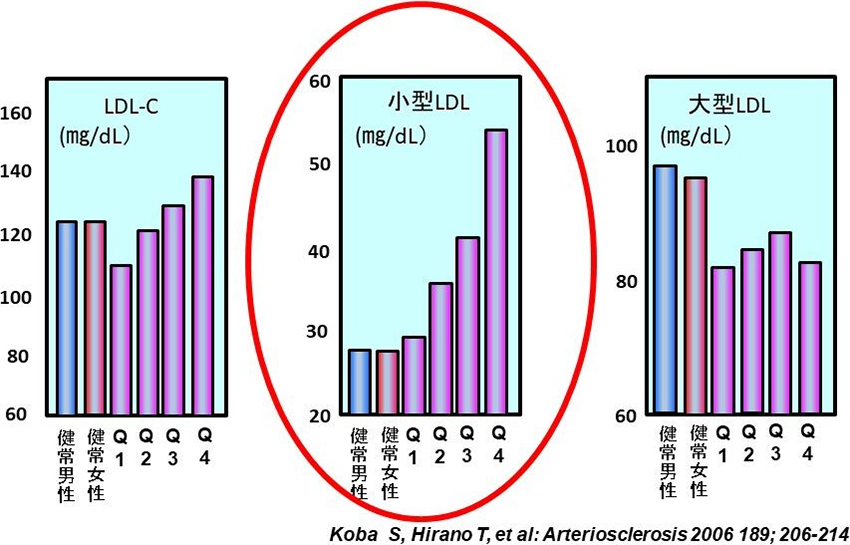 図3. 冠動脈疾患（CHD）重症度と小型LDLの関係