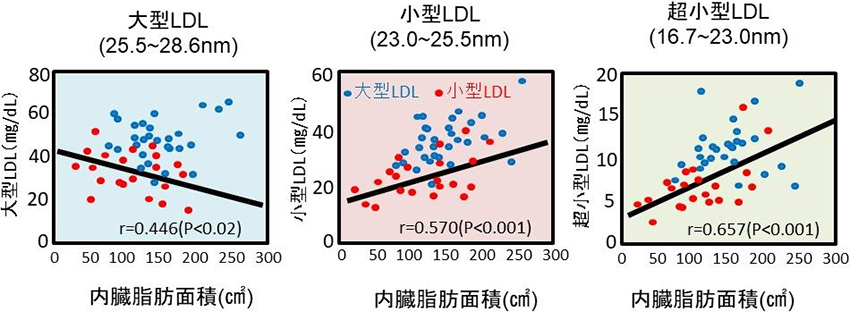 図2. メタボリックシンドロームとLDLの大きさの関係