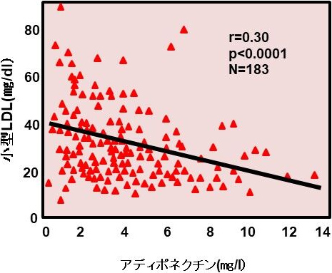 図3. 小型LDLとアディポネクチンの関係