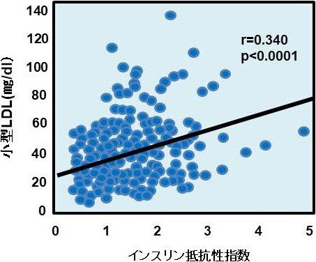 図7. 小型LDLとインスリン抵抗性の関係