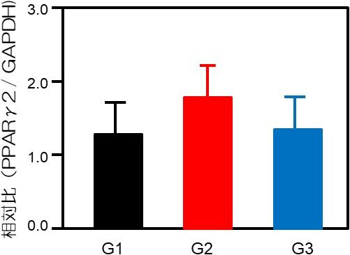 図8. R-αリポ酸によるインスリン抵抗性改善効果（PPARγ）