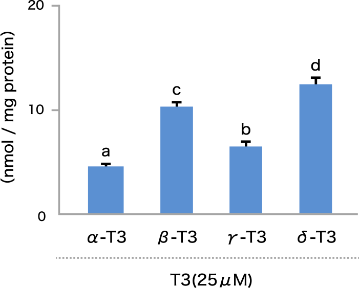 図2. 各種T3の細胞（RBL-2H3）への取り込み量の比較