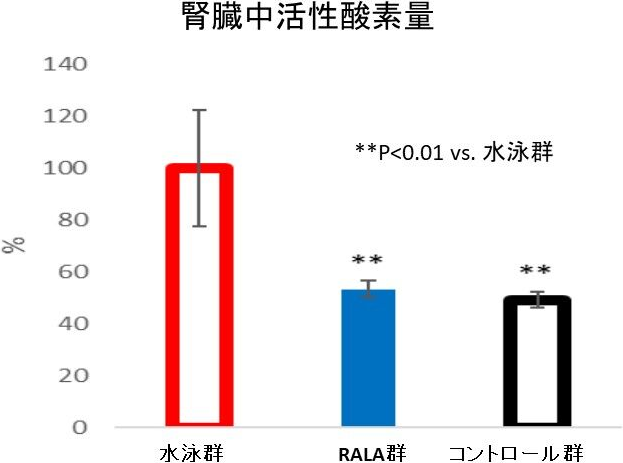 図1. RALAによる腎中活性酸素量の低減